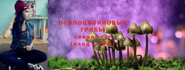 PSILOCYBIN Аркадак
