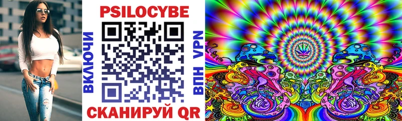 Псилоцибиновые грибы Psilocybine cubensis  купить   Харабали 